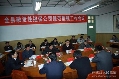 全县融资性担保公司规范整顿工作会议顺利召开