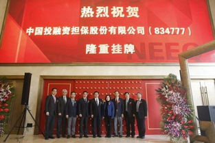全市首家融资性担保公司正式挂牌新三板，开启创新融资新篇章