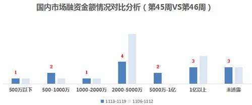 谁说性感只能有维密一种 neiwai内外获7000万B轮融资，推动融资性担保视角下的内衣行业变革