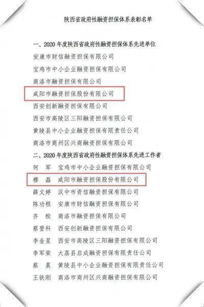 喜讯 市融资担保公司荣获2020年度陕西省政府性融资担保体系先进单位荣誉称号