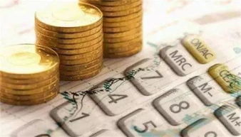 金融的耐心 融资性担保行业的价值与韧性