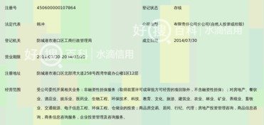 广西和信高盛非融资性担保有限公司防城港分公司 聚焦非融资性担保，服务地方经济